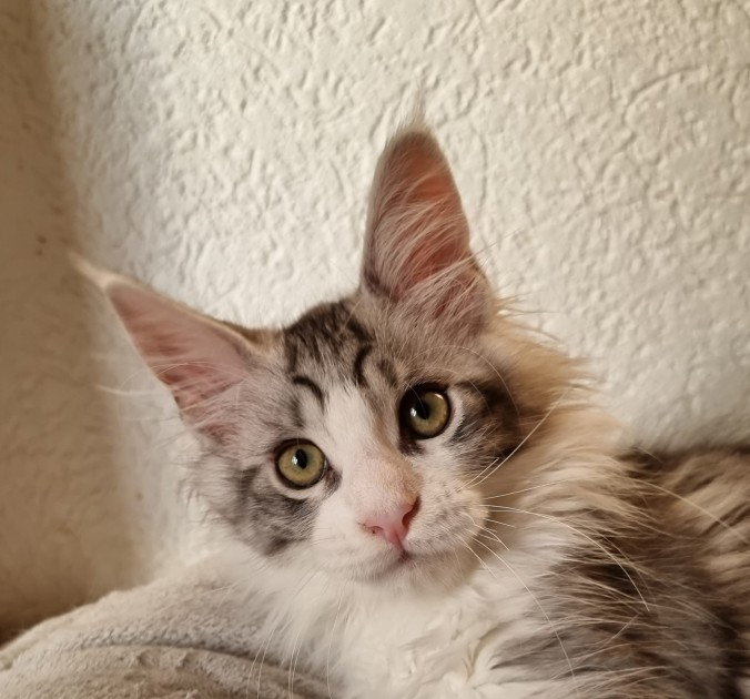 IMG-20230530-WA0023(1)