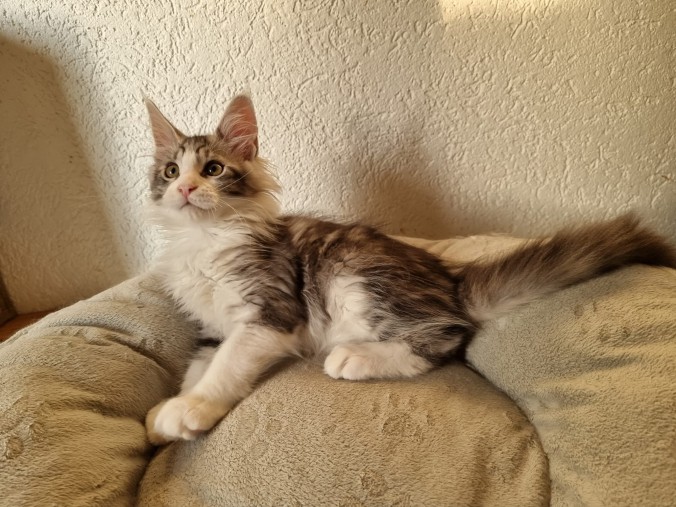 IMG-20230530-WA0024(1)