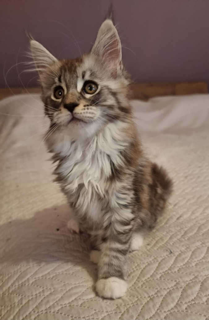 IMG-20230608-WA0008(1)