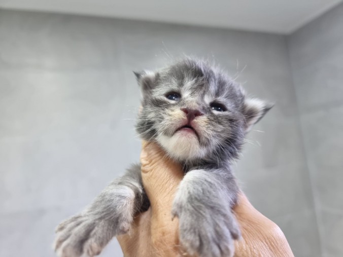 IMG_20240625_105707 (1)