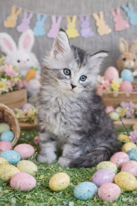 file_00000000fdb47243be449bd2c9eb794e