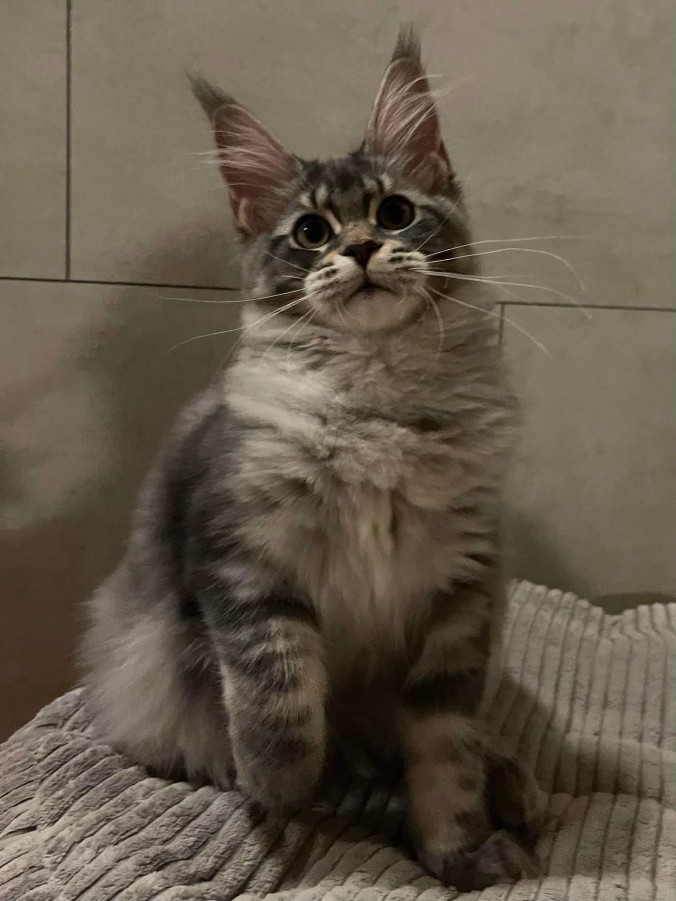 received_458321126247597