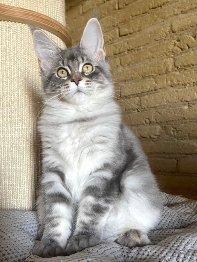 received_672505871079511