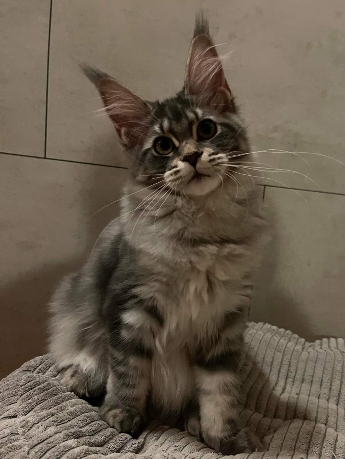 received_879012923133044