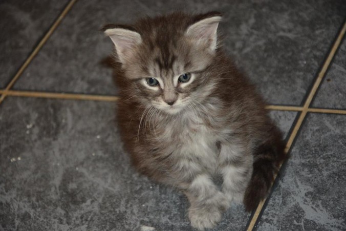 10398510_10207051231453278_1658914651680687700_n