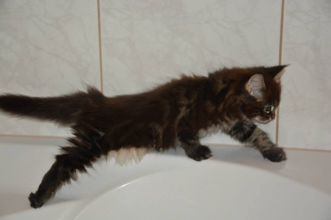 11988739_10206432202857950_4201976309533662022_n