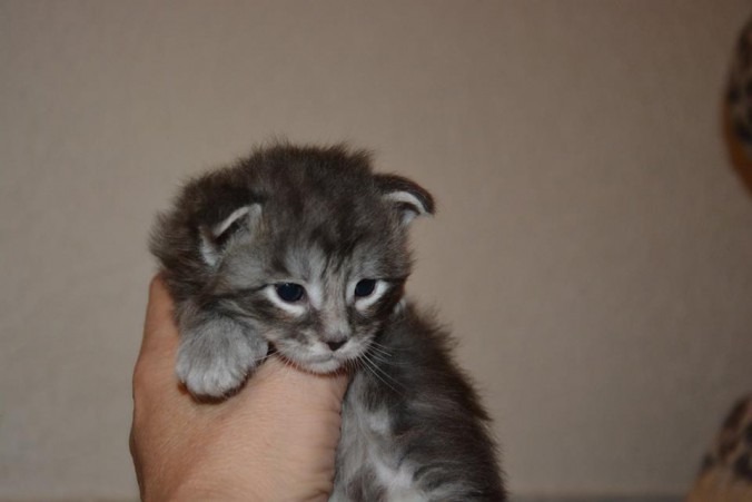 12314079_10206936242538627_4899033199284463334_n