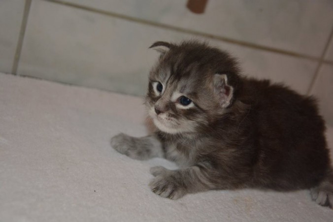 12316414_10206936244058665_7880670680175831803_n