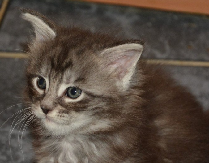 472_10207051236613407_2947817095050240390_n